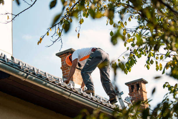 Best Storm Damage Roof Repair  in Manitou Beach Devils Lake, MI