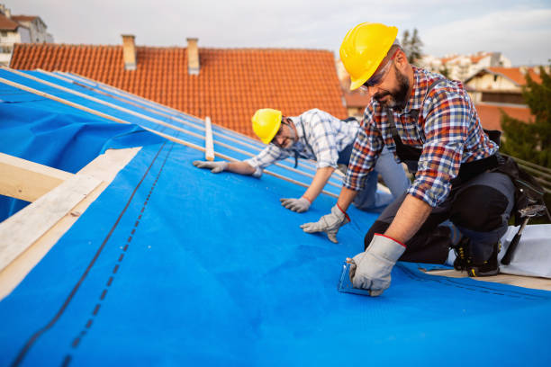Best Roof Ventilation Installation  in Manitou Beach Devils Lake, MI