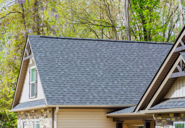 Best Roof Moss and Algae Removal  in Manitou Beach Devils Lake, MI